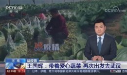 建湖网红吃瓜事件始末视频,揭秘网络舆论的风暴与真相