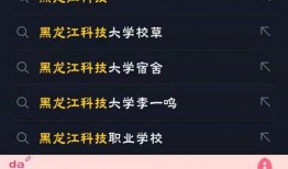 黑龙江大学爆料事件视频,视频揭露惊人真相